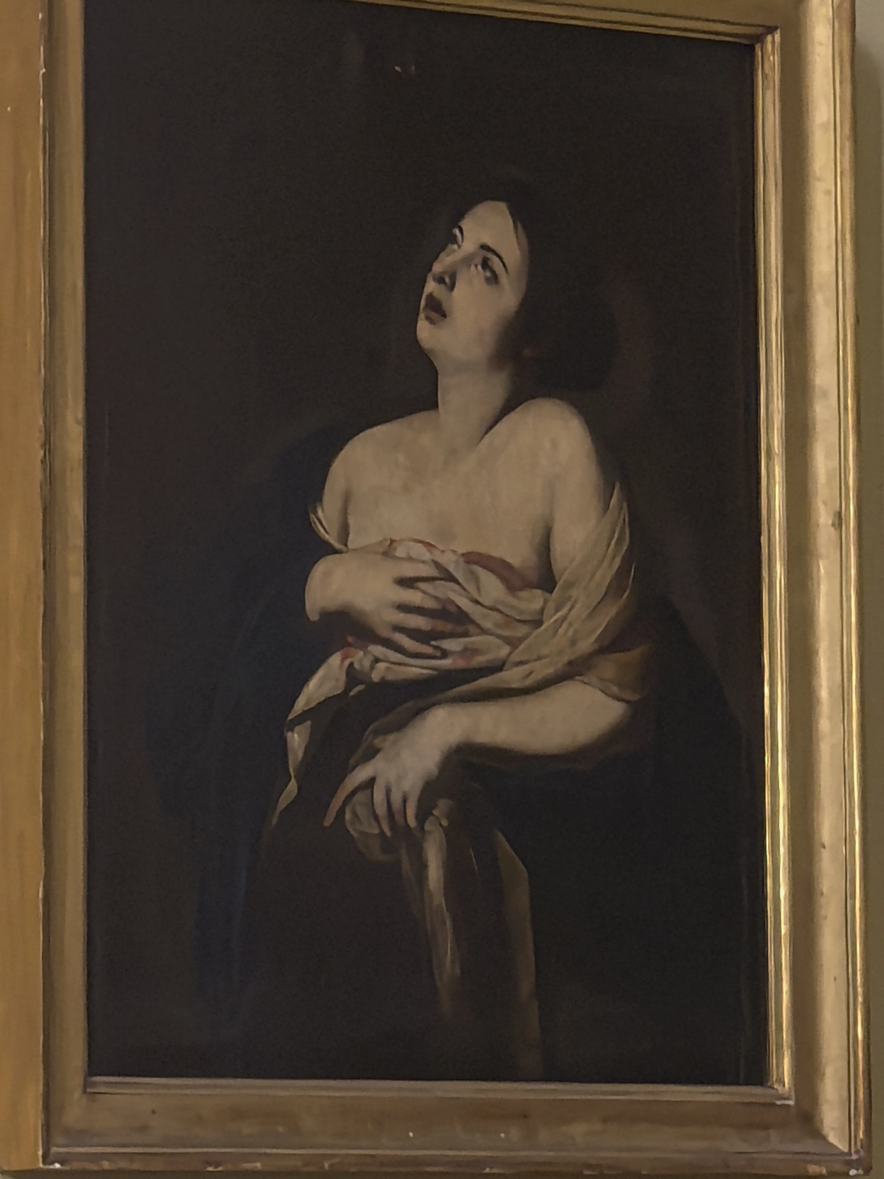 HUAWEI Pura 70 Ultra - System Aparatów - IMG_20251128_140934.webp